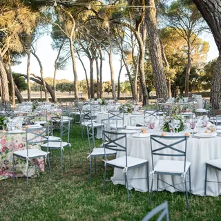 Mesas redondas vestidas de blanco entre pinos para el banquete de la boda