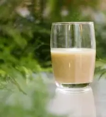 Vaso de batido natural de fruta sobre una mesa de cristal entre helechos, para un coffee break de empresa