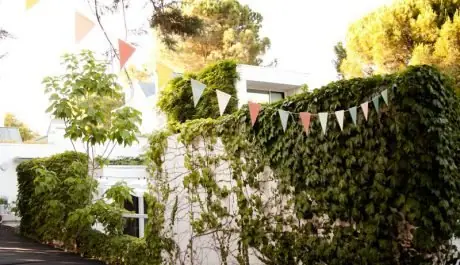 Acceso a una fiesta en una casa con muro cubierto de hiedra, banderines de colores y alfombra negra, en Madrid